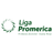 Costa Rica Primera Division