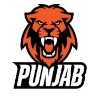 Minerva Punjab